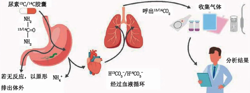 1724032212961_副本.jpg